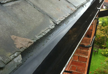 Gutter Cleaning